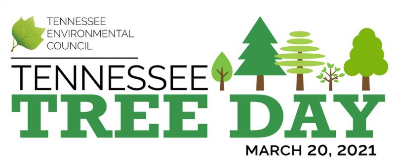 "TreeDay2021"